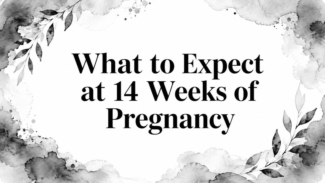 What to Expect at 14 Weeks of Pregnancy